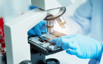 Μικροβιολογικές Εξετάσεις