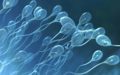 Ανδρολογικό